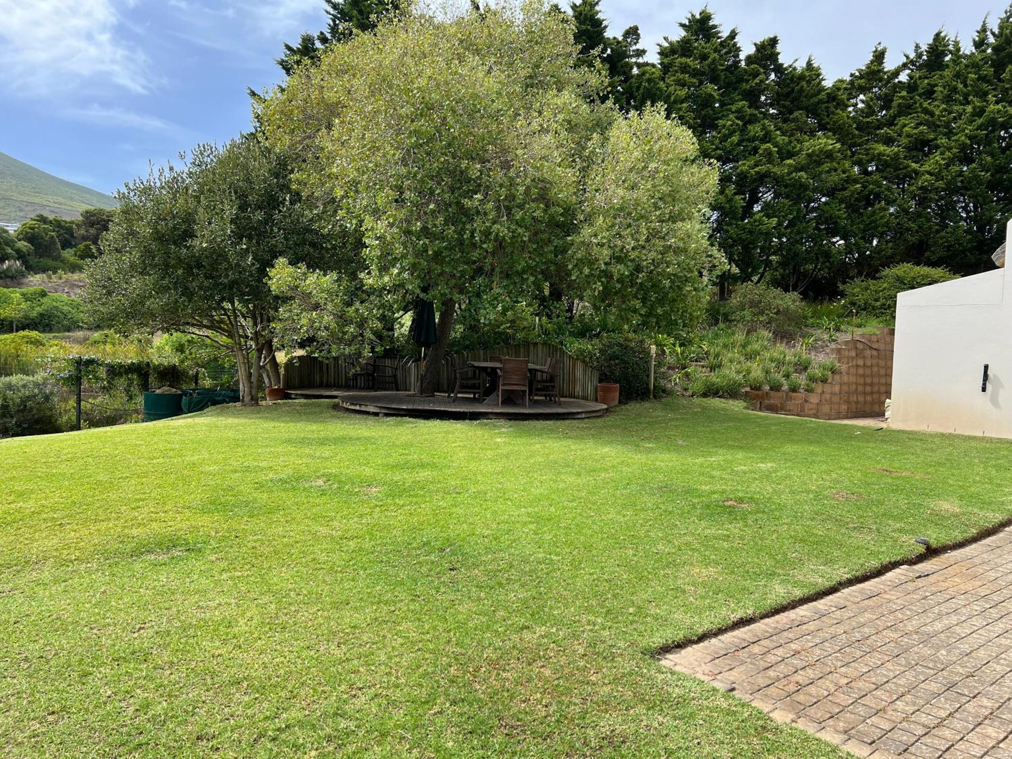 Serene, Thatched Apartment In Noordhoek, Kapstadt Exterior foto