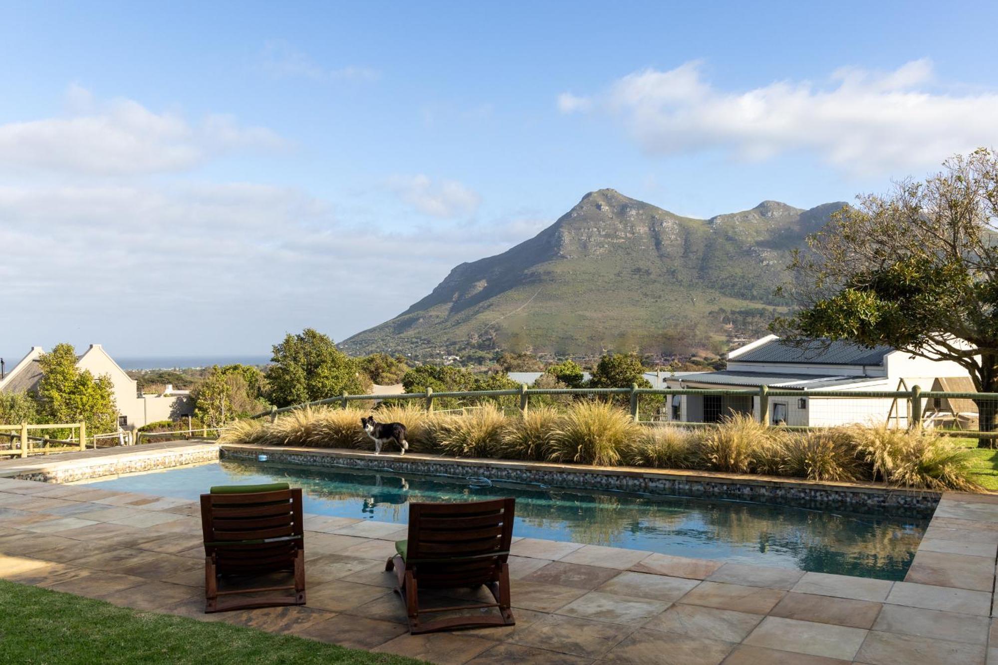 Serene, Thatched Apartment In Noordhoek, Kapstadt Exterior foto