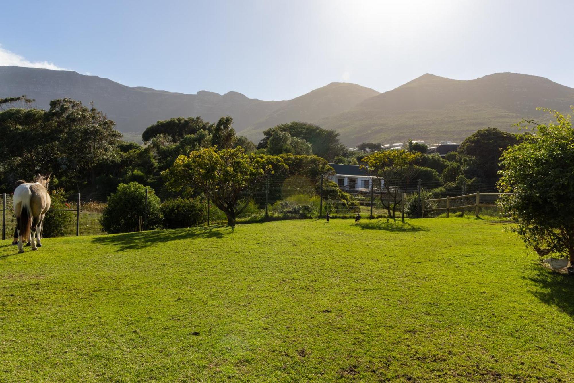 Serene, Thatched Apartment In Noordhoek, Kapstadt Exterior foto